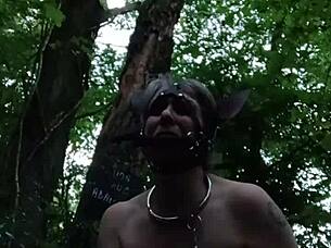 Bound French Slave Ponygirl Whore Slapped Outdoor Buttplug Humiliation!