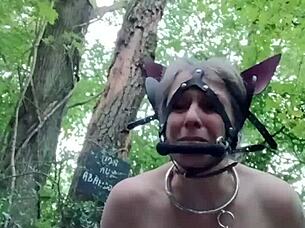 Bound French Slave Ponygirl Whore Slapped Outdoor Buttplug Humiliation!