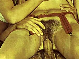 Vintage threesomes explore hairy beavers in retro group fun