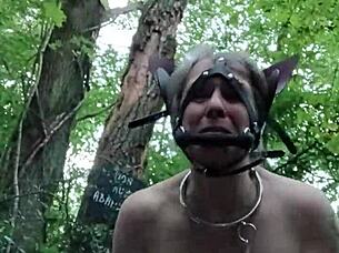 Bound French Slave Ponygirl Whore Slapped Outdoor Buttplug Humiliation!