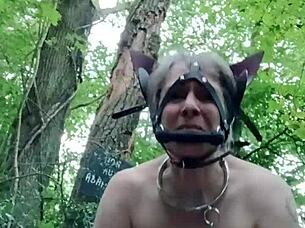 Bound French Slave Ponygirl Whore Slapped Outdoor Buttplug Humiliation!