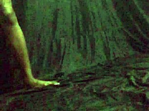 hey check this naked photoshoot babe