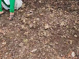 country threesome creampie bends teen over outdoors