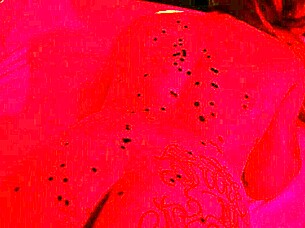 Alternative Girl's Intense Wax Play Emotions with Big Black Cock