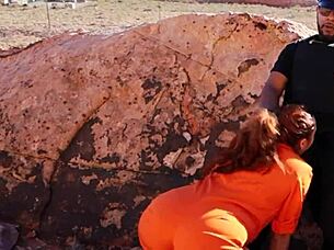 Officer Forces Inmate's Sloppy Deepthroat Cock Worship