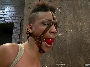Ebony slave folded tight vibed to rough orgasm
