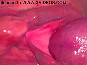 Amateur shows her pink pussy months after losing virginity