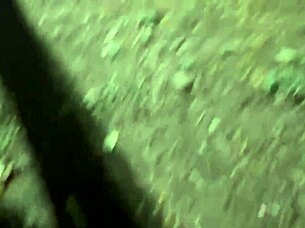 paid dinner and got a blowjob in the woods