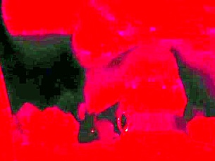 Submissive Bbw Gets Face Fucked Deep