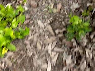 Dirty old man fucks his busty girl in the jungle