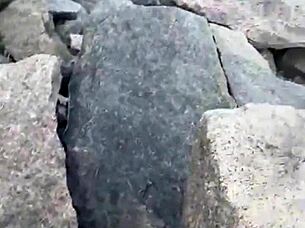Brunette gives public blowjob on the beach