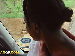 my cute ebony safari guide begged for rough pussy fuck
