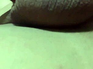 Gabyoday's Shemale Journey