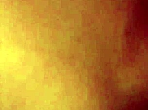 Fresh Hairy Pussies from Japan: Still Warm and Inviting?