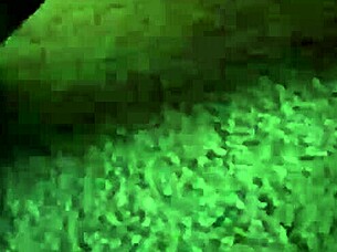 Charming Brunette Model Took A Shower