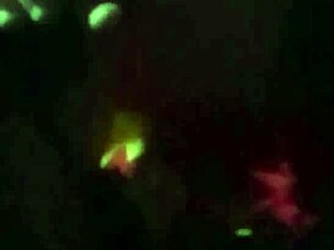 White girl sucks big black cock in public parking lot.