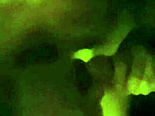 me and shelly got into some hot fucking, her pussy bent over in doggystyle position