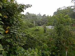 Did you find a hot latina for public sex under the bridge in the rain?