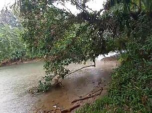 Did you find a hot latina for public sex under the bridge in the rain?