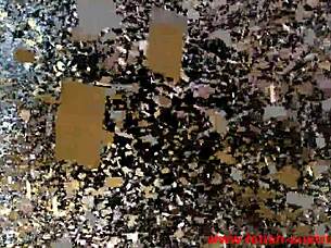 Exploring Various Fetish Practices