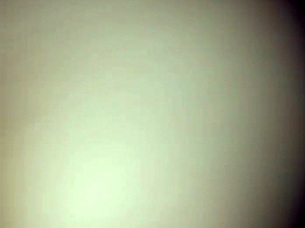 She got horny watching TV, so I ate her ass on all fours.