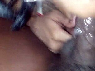 blacchammer ebony blowjob sucking session