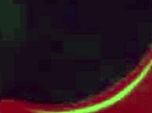 after boyfriend caught me with stepfather, we decided to do a double penetration and fell into family mischief