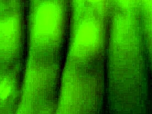 i sneha, gettin my ass fuckd hard by him