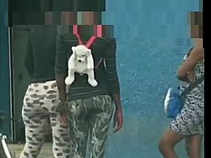 i picked up this slut on the cheap streets and creampied her in the compilation.