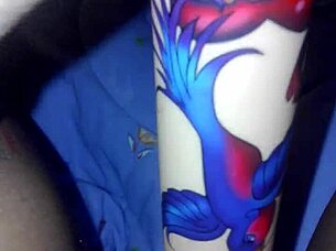 Mexican amateurs play with toys