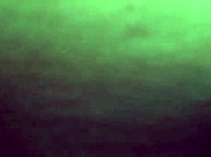 Latina Amateur Deepthroats Homemade Cock