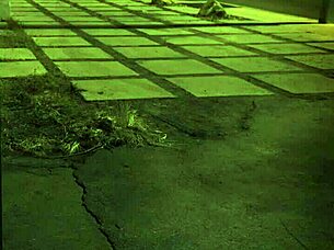 beautiful amateur girl lies on bed in t-shirt only, no underwear or bra, showing shaved pussy and sexy legs