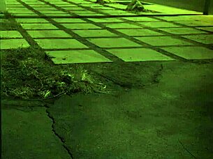 beautiful amateur girl lies on bed in t-shirt only, no underwear or bra, showing shaved pussy and sexy legs