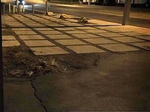 beautiful amateur girl lies on bed in t-shirt only, no underwear or bra, showing shaved pussy and sexy legs