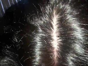 Latina Sucks Big Cock Sloppily