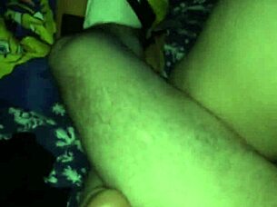 A homemade video featuring a cougar in an amateur setting