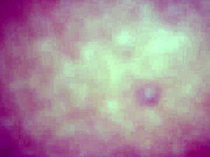 Exploring the vibrant culture of Paisa in Medellin.