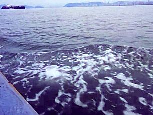 Diego Lemes Naked In Backroom Deepthroat Bareback Scene