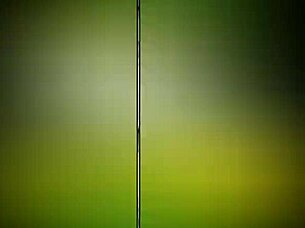 Husband shares wife with Myke Brazil?