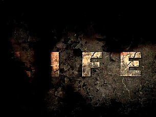 Vintage Interracial Cock Sucking With Hairy Pussy