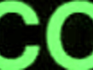 Homemade video series captures everyday moments