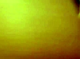 Homemade video series captures everyday moments