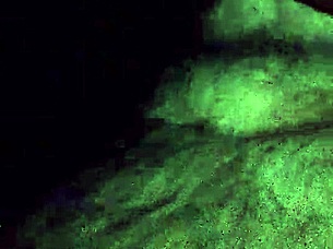 i got a rich blowjob from that mexican