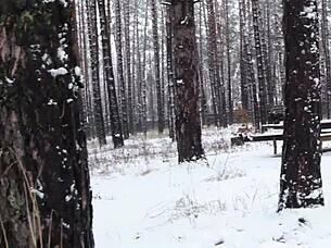 Lily c performs solo striptease, ripping clothes off