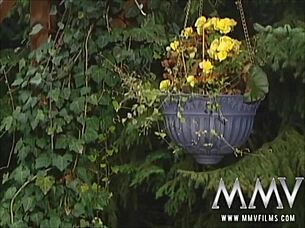 sexy blonde milf fucks monster cock in kitchen and cums