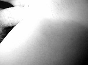 compilation creampie alanny with cum shots