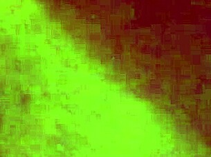 compilation creampie alanny with cum shots