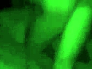 Intense doggystyle fucking with big bent over ass and loud moans