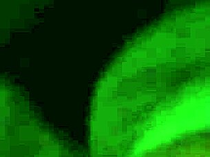 Slutty Milf Fingers Her Pussy Close Up On Homemade Camera