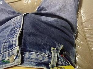 Hey, did you hear about that time someone ended up peeing on the sofa at the gathering?